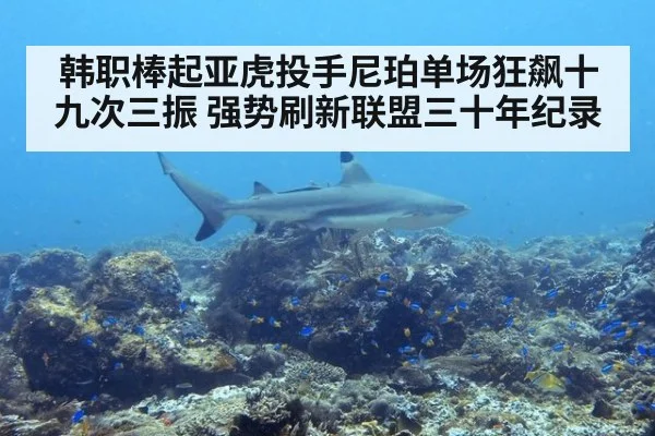 韩职棒起亚虎投手尼珀单场狂飙十九次三振 强势刷新联盟三十年纪录