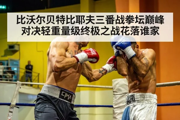 heavyweight boxing